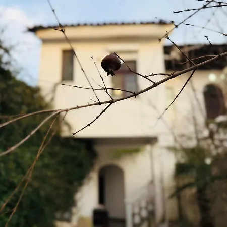 Luxury In Gjuhadol דירה *